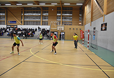 Match de Halball