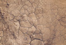 Sècheresse photo de terre craquelée